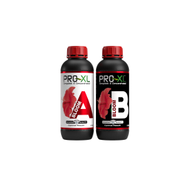 Bloom A&B Pro XL set 2L